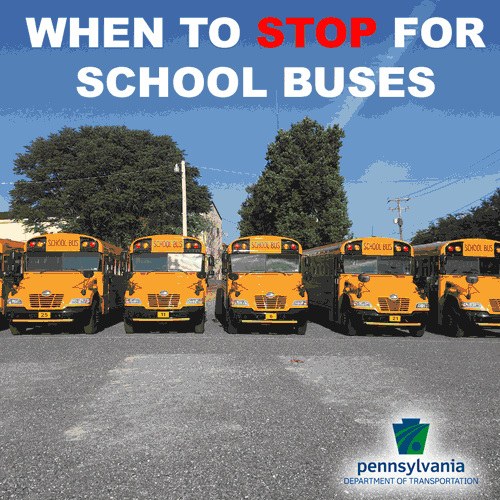 What are a few school bus safety facts?