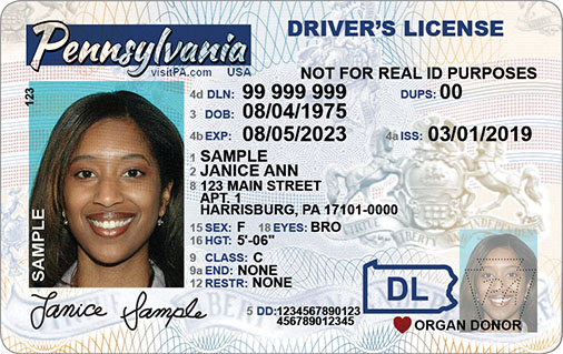 Pa Drivers License Fee Chart