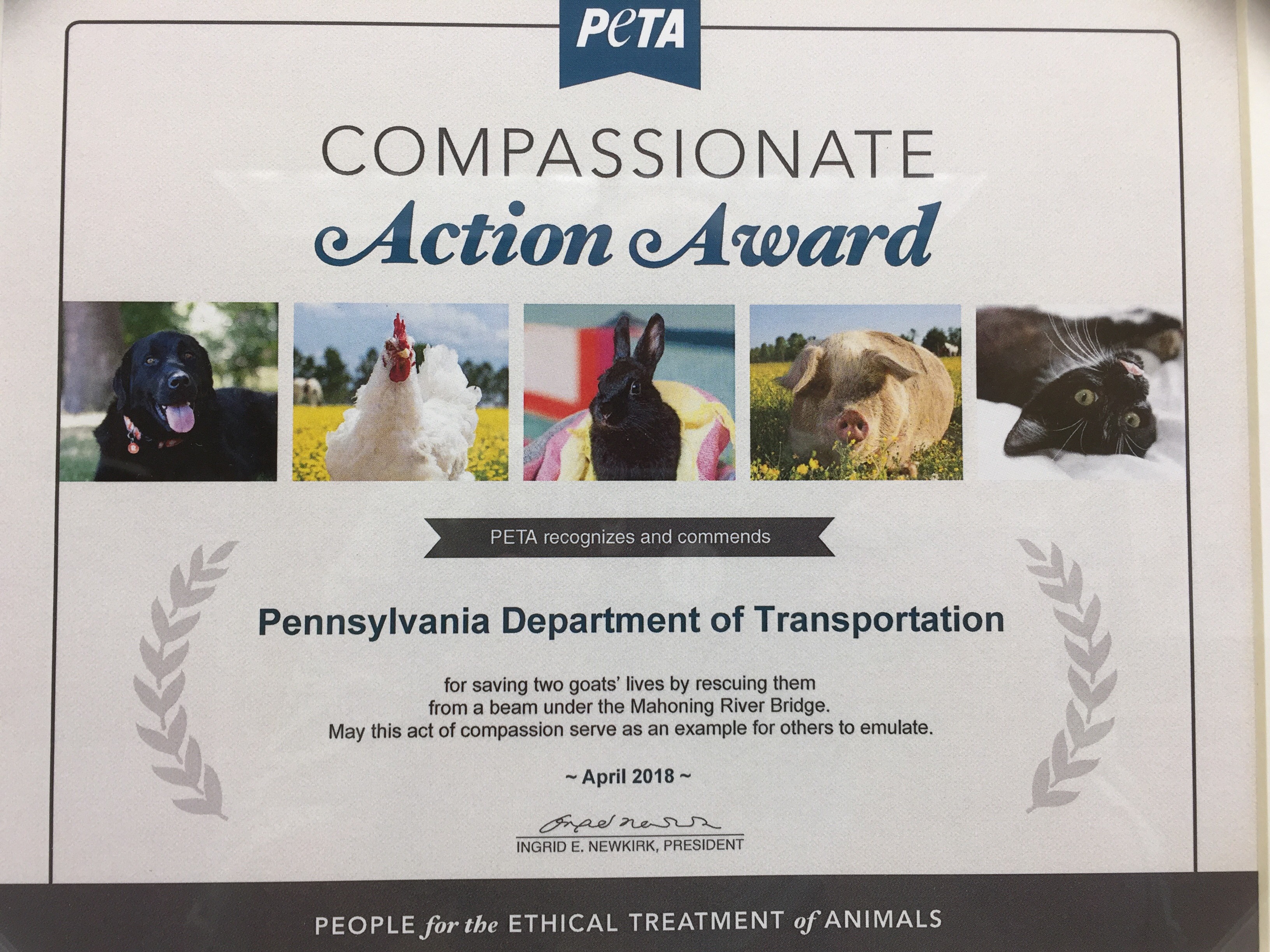 penndot peta commpasionate action award