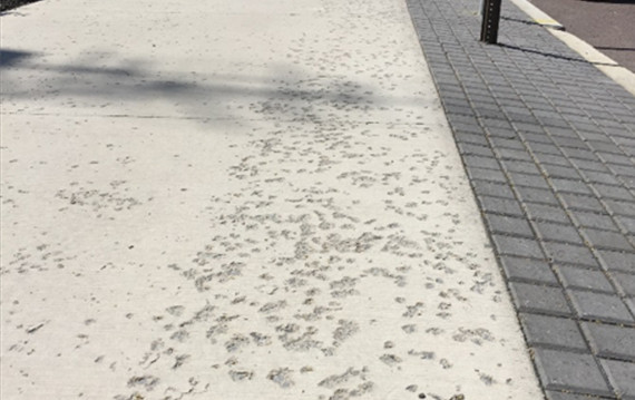 Concrete sidewalk with obvious divet flaws.