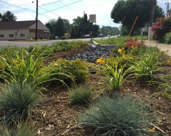 plants and stones serve as stormwater control measure